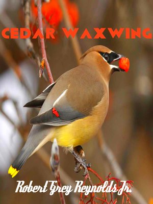 cover image of Cedar Waxwing